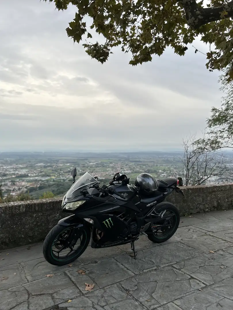 Kawasaki Ninja 300 abs - 1