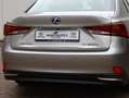 Lexus IS 300 300h Hybrid Business Line | Safety Pack | Leder | Grijs - thumbnail 30