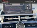 Lexus NX 300h LUXURY*4x4*CARPLAY*SITZBELÜFTUNG*15J-GARANTIE* Grau - thumbnail 15