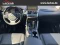 Lexus NX 300h LUXURY*4x4*CARPLAY*SITZBELÜFTUNG*15J-GARANTIE* Grau - thumbnail 13