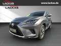 Lexus NX 300h LUXURY*4x4*CARPLAY*SITZBELÜFTUNG*15J-GARANTIE* Grau - thumbnail 1