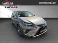 Lexus NX 300h LUXURY*4x4*CARPLAY*SITZBELÜFTUNG*15J-GARANTIE* Grau - thumbnail 7