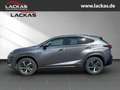 Lexus NX 300h LUXURY*4x4*CARPLAY*SITZBELÜFTUNG*15J-GARANTIE* Grau - thumbnail 2