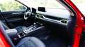 Mazda CX-5 Newground AWD/NAVI/XENON/R.KAMERA/SHZ/PDC/ Rouge - thumbnail 9
