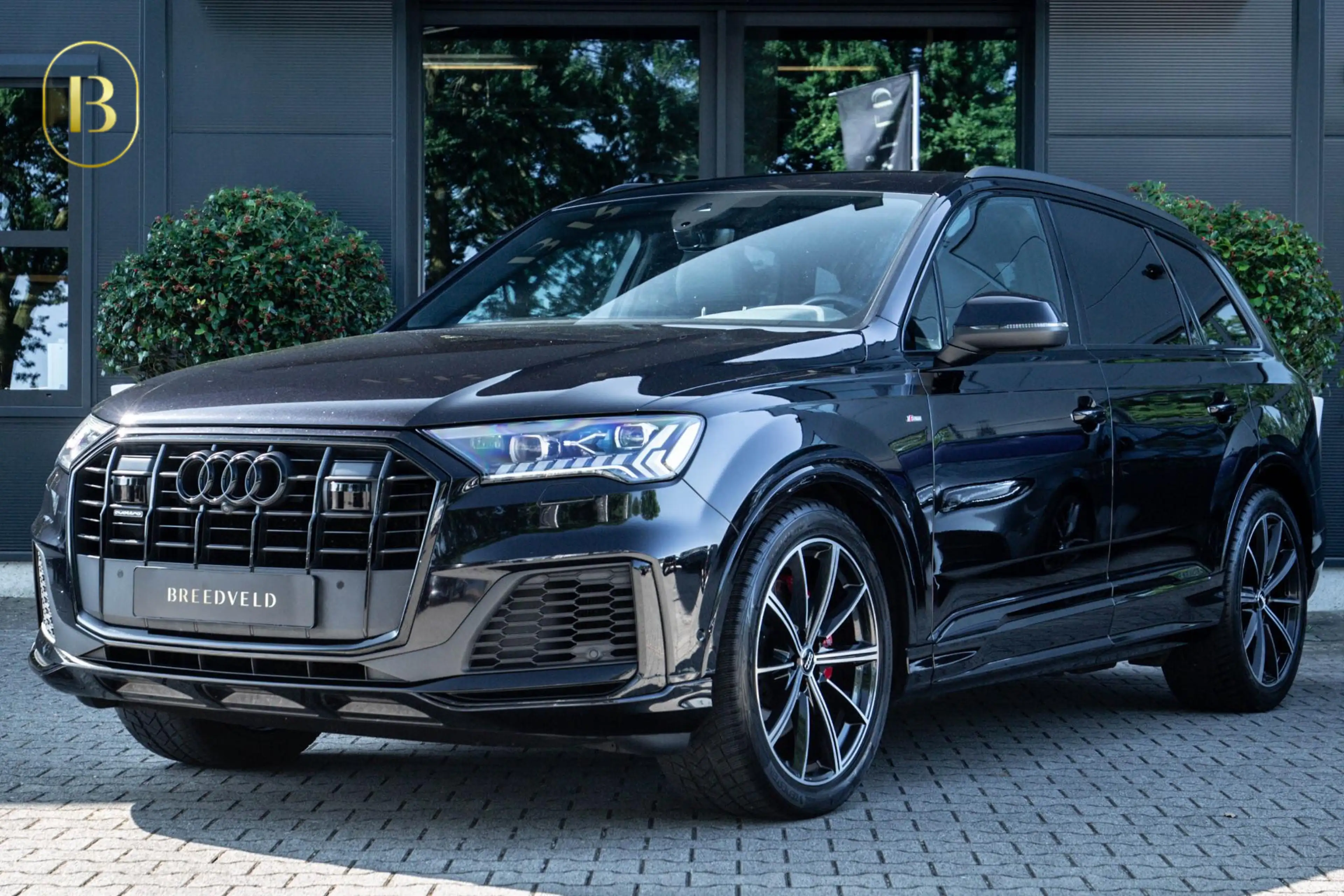 Audi Q7 50 TDI quattro Pro Line S 7p