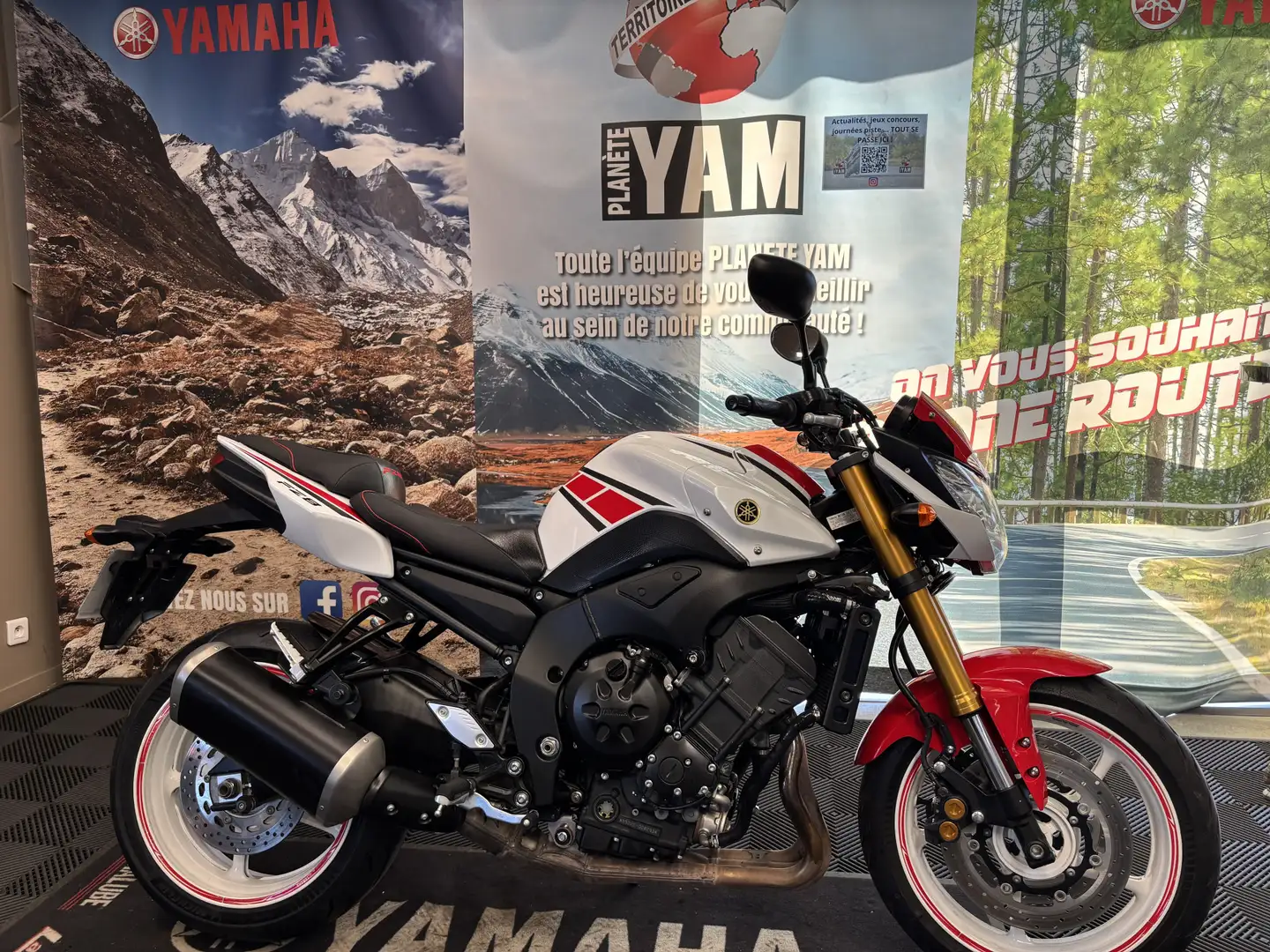 Yamaha FZ 8 Alb - 1