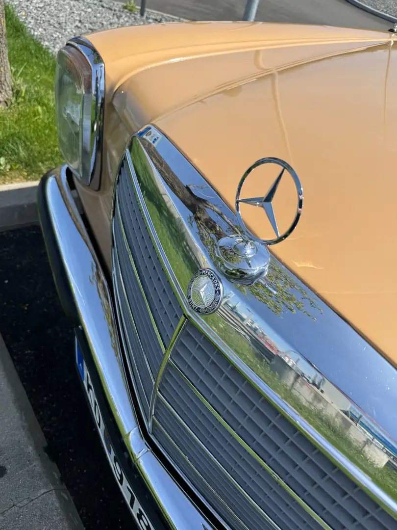 Mercedes-Benz 200 W115, Strich 8 Beige - 2