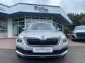 Skoda Kamiq 1.0 TSI Active 6-Gang AppleCarPlay+Andr... Grau - thumbnail 2