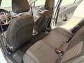 Opel Astra 1,6 CDTI Ecotec Cool&Sound 2.Besitz *frisches P... Weiß - thumbnail 27