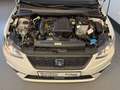 SEAT Ibiza IBIZA 1.0 TGI*STYLE*KLIMA*NAVI*BT*APPLE CAR*LM* Weiß - thumbnail 17