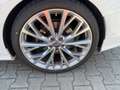 Audi A6 Avant 50 TDI quattro S- Line Sport+Pano+Luft Weiß - thumbnail 17