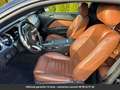 Ford Mustang GT 5.0 4V TI-VCT V8 Aut. Hors homologation 4500e Schwarz - thumbnail 9