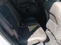 Ford Kuga Kuga 2.0 tdci ST-Line s Bianco - thumbnail 11