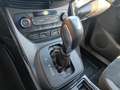 Ford Kuga Kuga 2.0 tdci ST-Line s Bianco - thumbnail 15