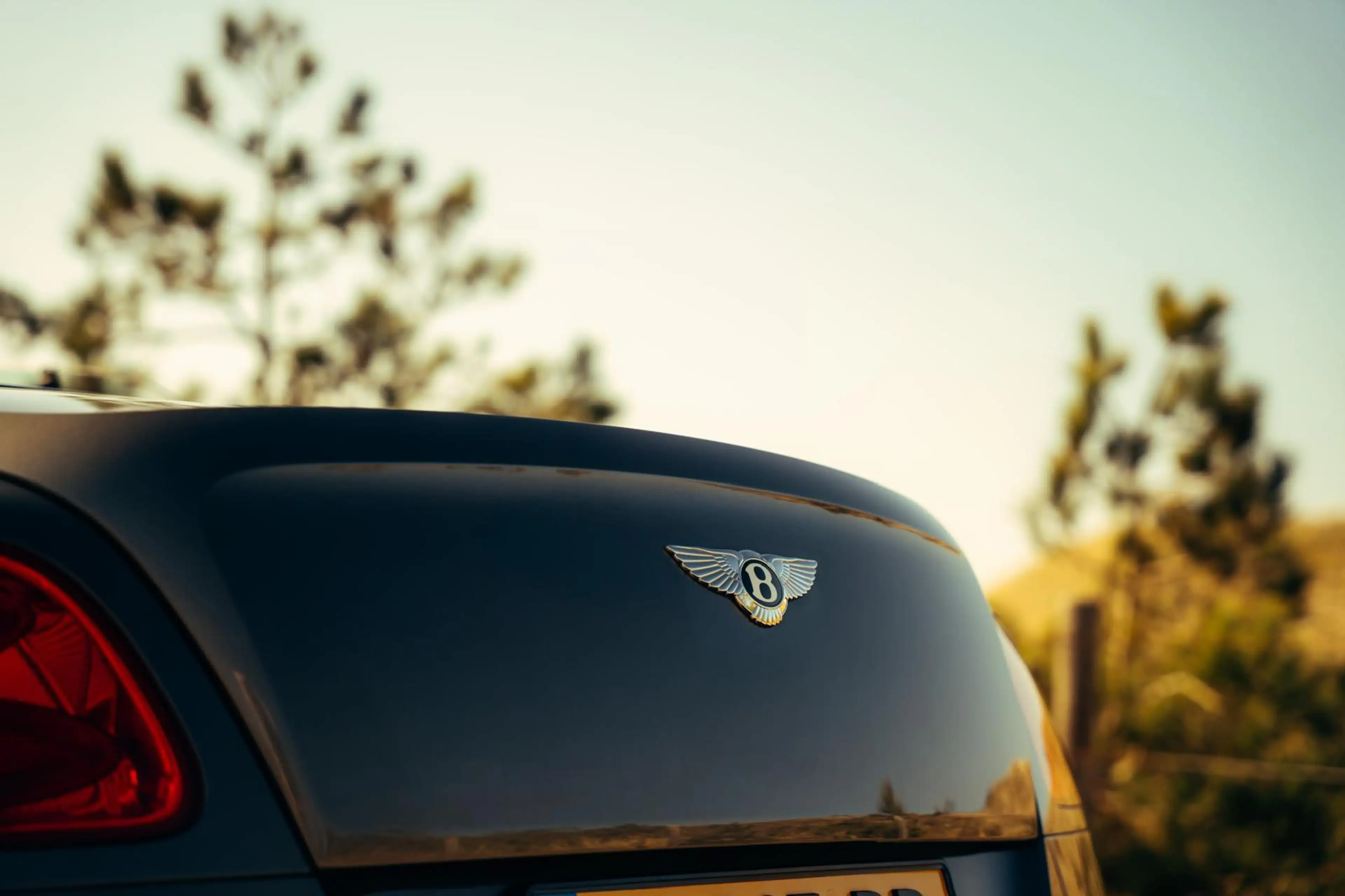 Bentley Continental GTC 6.0 W12 — photo 5