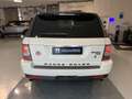 Land Rover Range Rover Sport 3.0 SDV6 HSE "TETTO APRIBILE" Blanco - thumbnail 5