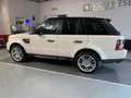 Land Rover Range Rover Sport 3.0 SDV6 HSE "TETTO APRIBILE" Blanco - thumbnail 7