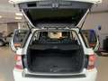 Land Rover Range Rover Sport 3.0 SDV6 HSE "TETTO APRIBILE" Blanco - thumbnail 6