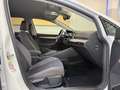 Volkswagen Golf Variant Alltrack 4Motion Weiß - thumbnail 15