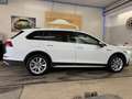 Volkswagen Golf Variant Alltrack 4Motion Weiß - thumbnail 9