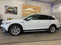 Volkswagen Golf Variant Alltrack 4Motion Weiß - thumbnail 5