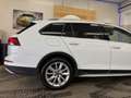 Volkswagen Golf Variant Alltrack 4Motion Weiß - thumbnail 6