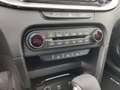 Kia Ceed / cee'd 1.5T DCT ULTIMATE Style-Paket Apple CarPlay Lenkra Grau - thumbnail 19