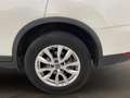 Nissan X-Trail 5P DIG-T 120 kW (160 CV) E6D DCT Blanco - thumbnail 12