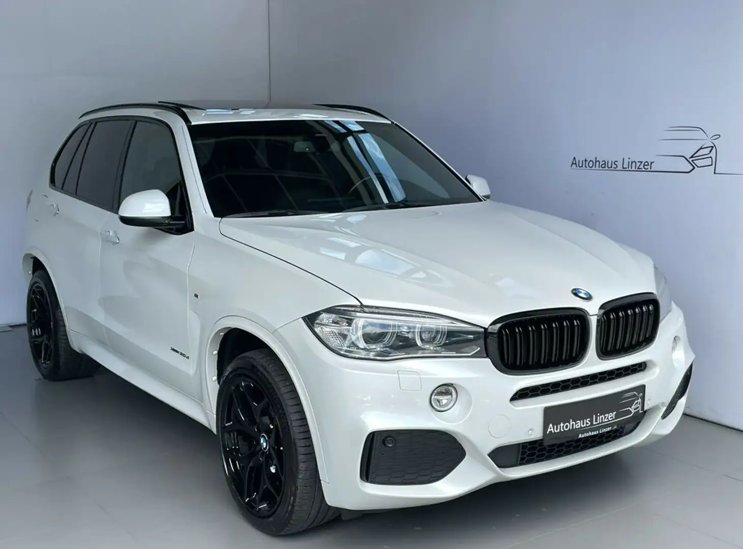 BMW X5 xDrive30d M *StHz*PANO*MEMO*CAM*KeyGo*HiFi*20''* Silber - 1