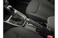 Skoda Fabia Limited Edition Plus 1.0 TSI 85 KW (116 PS) 7-Gang DSG Grau - thumbnail 17