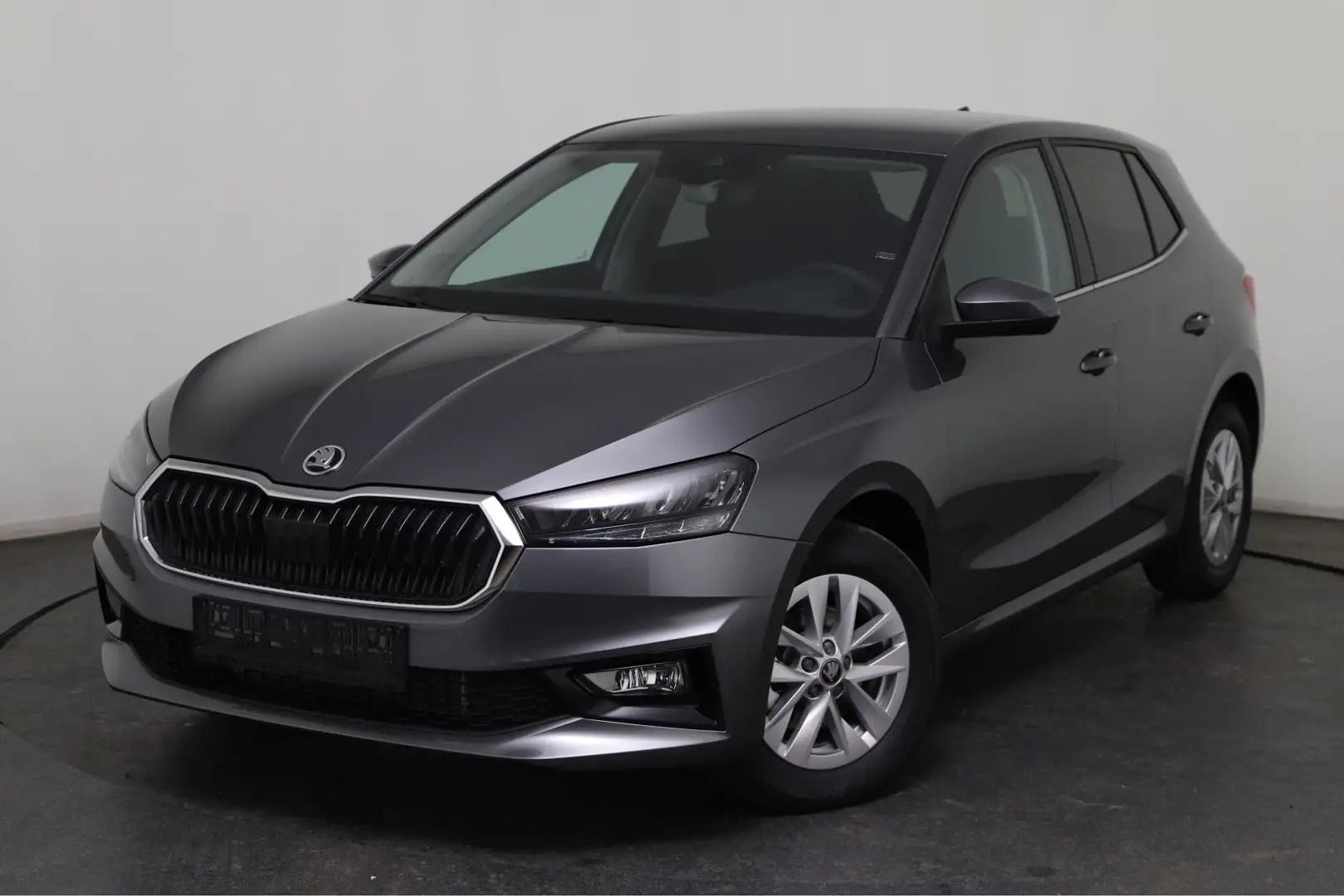 Skoda Fabia Limited Edition Plus 1.0 TSI 85 KW (116 PS) 7-Gang DSG Grau - 1