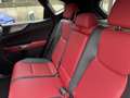 Lexus NX 300 NX Plug-in 4WD F-Sport Bianco - thumbnail 6