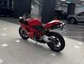 Ducati 1098 Ducati 1098 "SPECIAL DAYS" Rosso - thumbnail 3