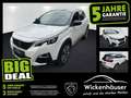 Peugeot 3008 Hybrid4 300 PHEV GT FLA Pano AHK LM Kamera Blanc - thumbnail 1