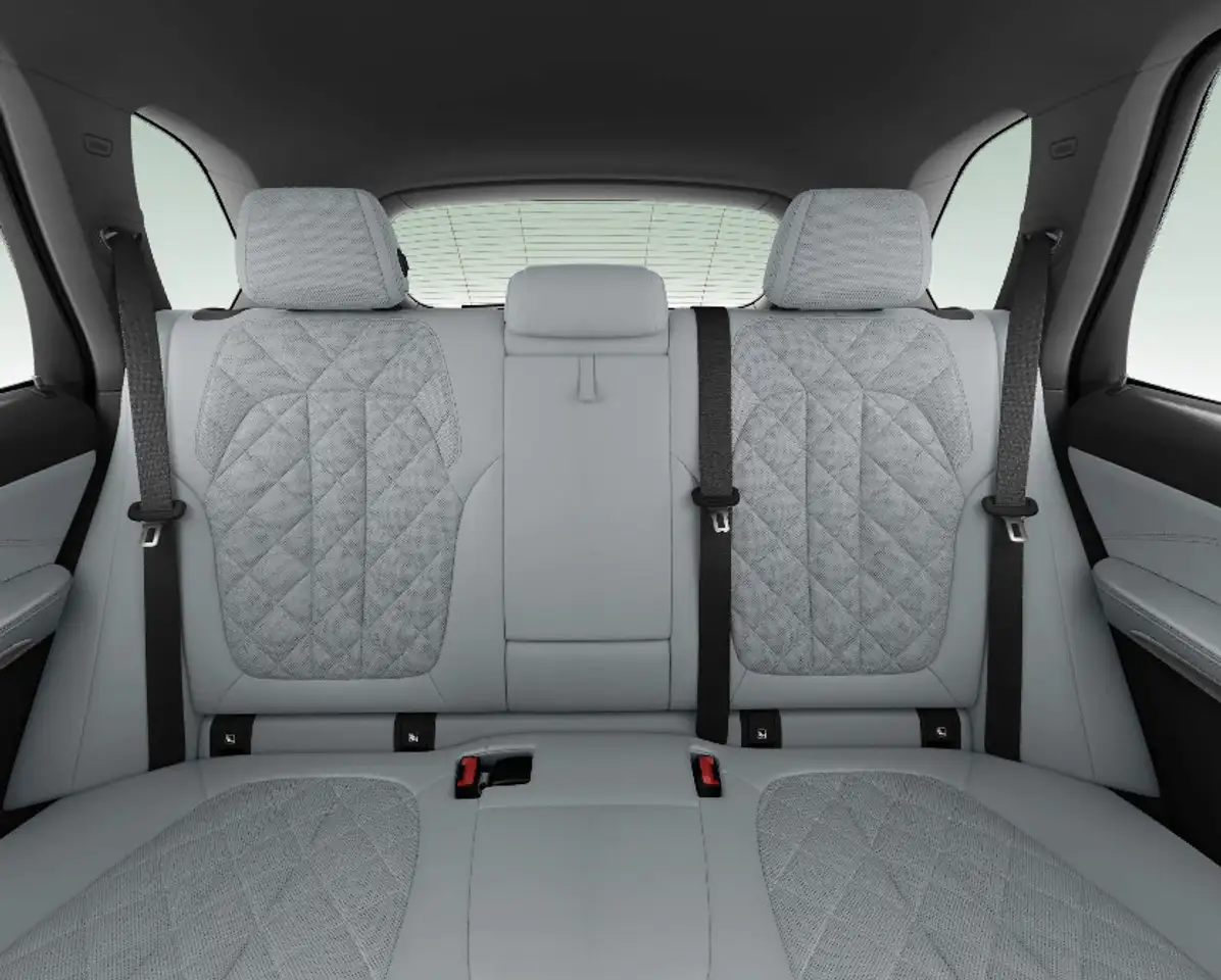 BMW X5 xDrive45e Comfortstoelen Warmte Comfort Pack Voo, миниатюра 13