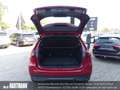 Mercedes-Benz B 200 PROGRESSIVE+MBUX+TOTWINK+R.KAM+WINTER+NAVI Rood - thumbnail 12