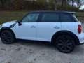 MINI Cooper S Countryman COUNTRYMAN All4 Aut. Weiß - thumbnail 4