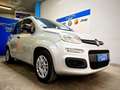 Fiat Panda Panda 1.2 Lounge Gris - thumbnail 1