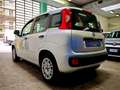 Fiat Panda Panda 1.2 Lounge Gris - thumbnail 3