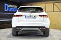 Jaguar E-Pace 2.0D 163PS MHEV S 4WD Auto Blanco - thumbnail 11