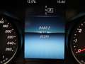 Mercedes-Benz C 200 Cabrio AMG FACELIFT (Dealer onderhouden, Navi Groo Grijs - thumbnail 13