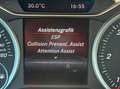 Mercedes-Benz B 200 CDI A-Edition Plus Aut. 4 Matic Grau - thumbnail 14