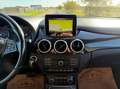 Mercedes-Benz B 200 CDI A-Edition Plus Aut. 4 Matic Grau - thumbnail 10