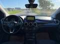 Mercedes-Benz B 200 CDI A-Edition Plus Aut. 4 Matic Grau - thumbnail 8