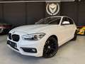 BMW 116 116d Blanc - thumbnail 1