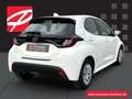 Toyota Yaris Hybrid Business Edition Blanc - thumbnail 10