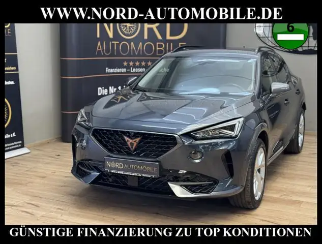 CUPRA Formentor 1.4 TSI e-HYBRID DSG AHK/Kamera/LED