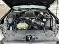Ford Mustang GT Cabrio V8 California Ed.681PS Kompre. Grau - thumbnail 2