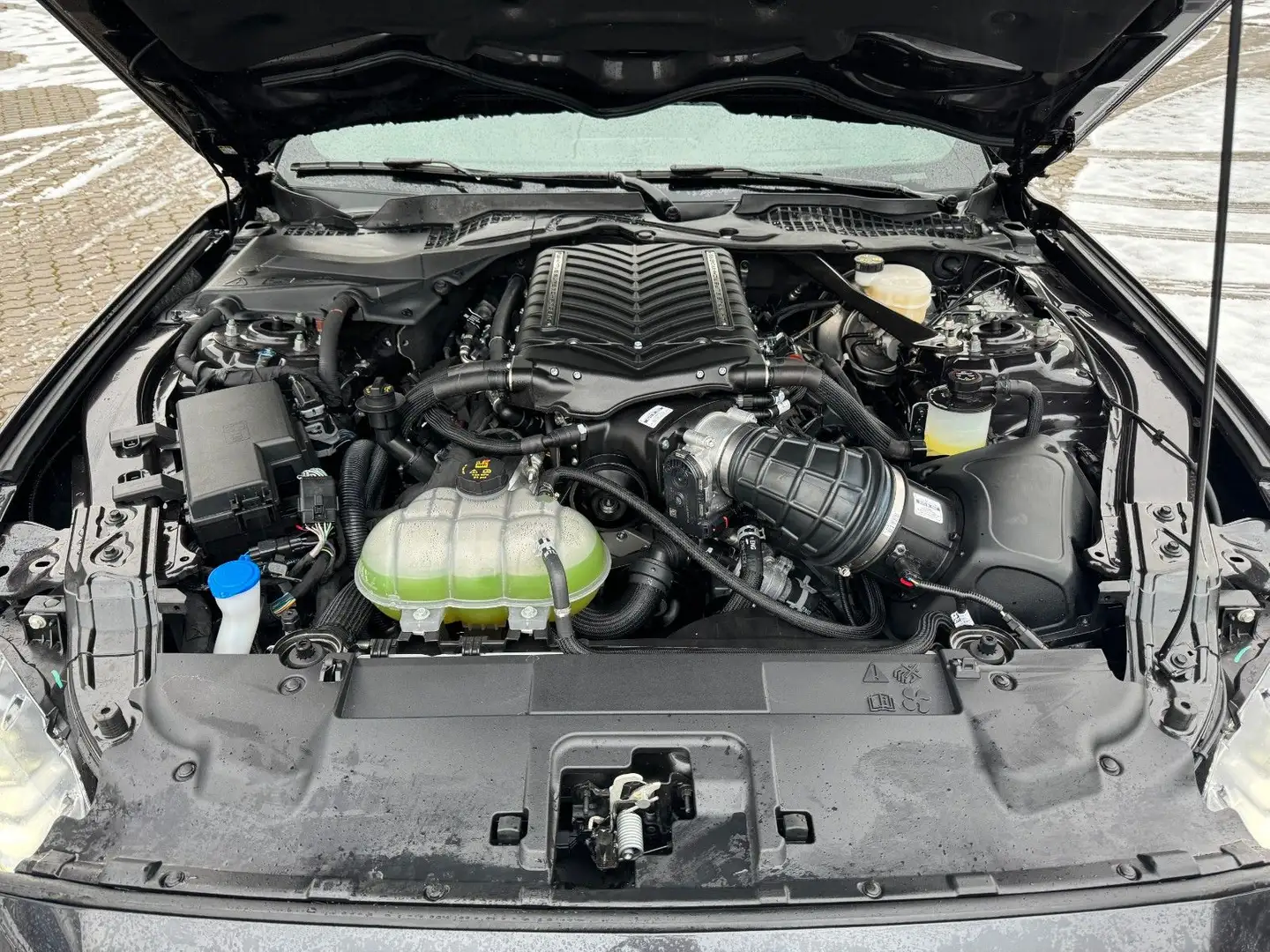 Ford Mustang GT Cabrio V8 California Ed.681PS Kompre. Grau - 2