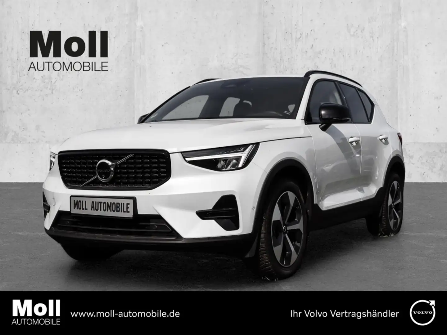 Volvo XC40 Plus Dark 2WD B4 EU6d digitales Cockpit Memory Sit Weiß - 1